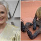 Illustration for article titled Glenn Close and her guardian spirit have come for your attention (and your soul)